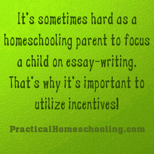homeschooling essay
