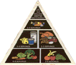 Food Pyramid