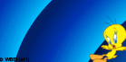 Looney Tunes Phonics