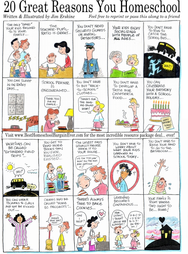 Homeschool Cartoon - 20 Great Reasons You Homeschool