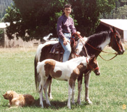 Arynne with horses