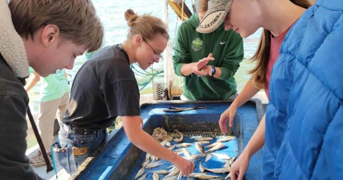 Homeschool Family Marine Science Camp