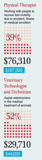 Physical Therapist • Veterinary Technologist and Technician